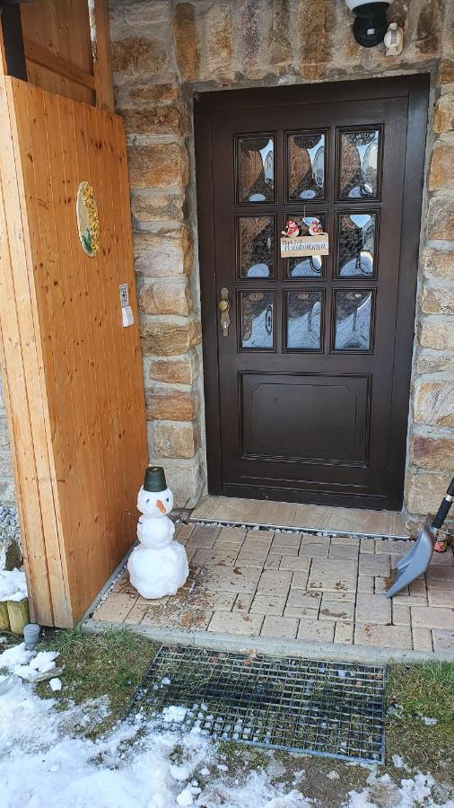 Waldhufenidyll Koenigswalde Im Erzgebirge Apartment Konigswalde Екстериор снимка