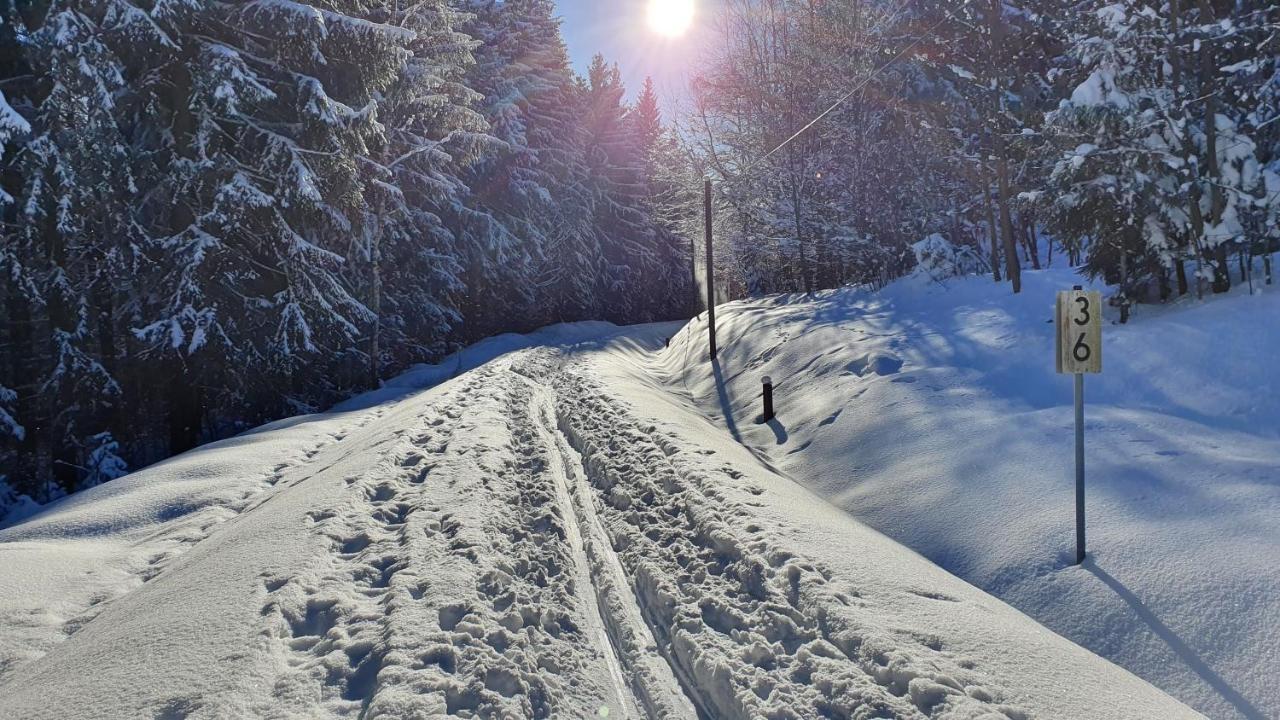 Waldhufenidyll Koenigswalde Im Erzgebirge Apartment Konigswalde Екстериор снимка