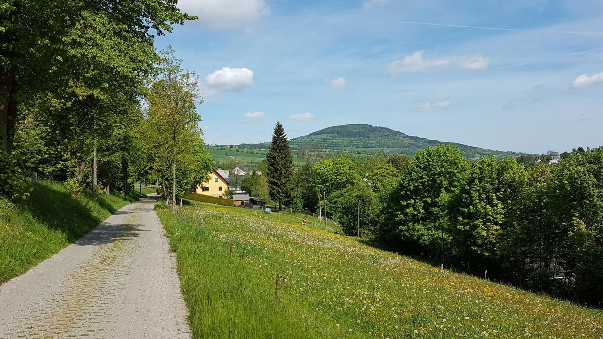 Waldhufenidyll Koenigswalde Im Erzgebirge Apartment Konigswalde Екстериор снимка